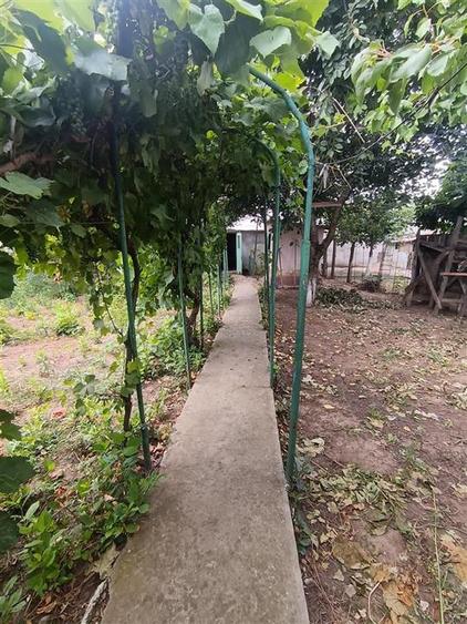 Casa Brailita-Vidin, 4 camere, Teren 573 mp