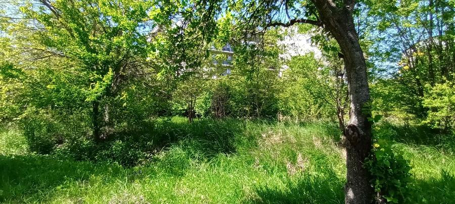 Casa noua tip vila cu 6 apartamente, P+2E, 1500 mp teren, Buna Ziua