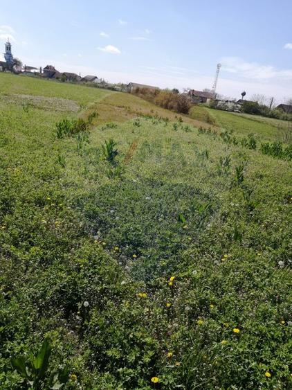 De vânzare teren intravilan, 6574 mp în Leș