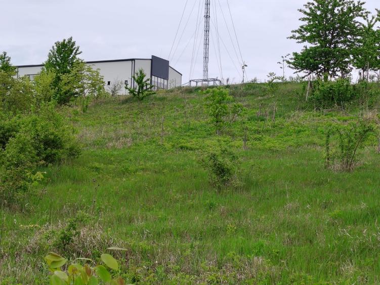 Teren intravilan 1800 mp, Centura-Ciurbesti-dubla deschidere
