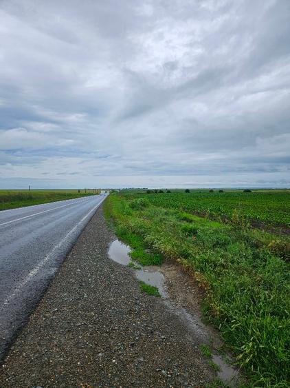 Vând teren agricol Matca