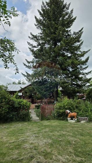 Domeniu rural, gospodarie/multifunctionala cu casa, livada, vie - 55