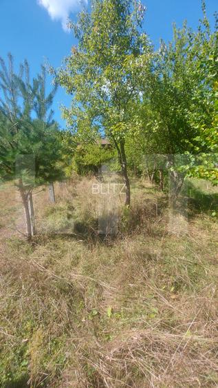 Teren intravilan 1.600 mp + constructie I Natura si liniste I Sita Buzaului - 9