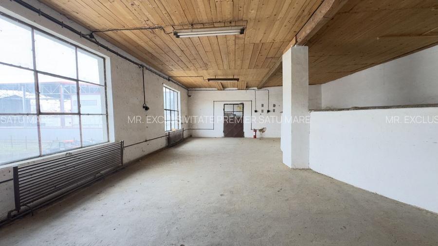 Clădire Industrială Hală Producție, Depozitare, Birouri-Teren 3140 mp - Carei - 21