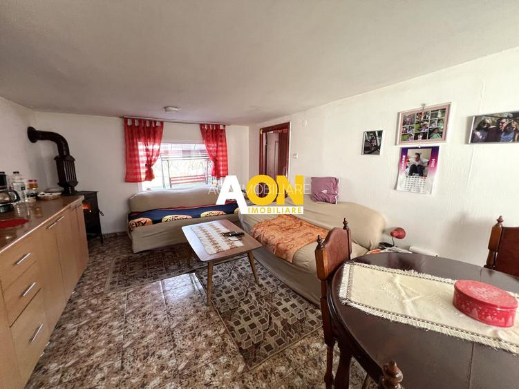 Casa de vanzare pretabila 2 familii, garaj, livada, comuna Pianu - 23