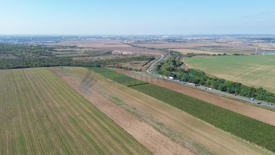 Teren intravilan de vanzare, 66400 mp, langa Oradea, Bihor