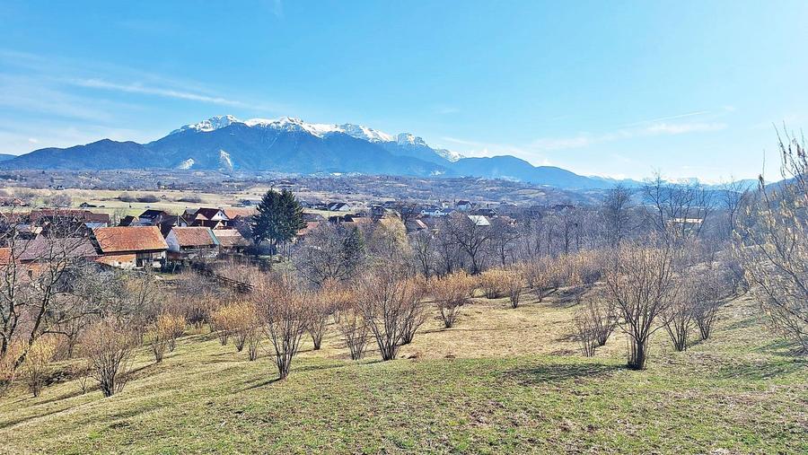 Comision 0%! Teren superb de 17000mp la 5 min de Castelul Bran, 13 eur