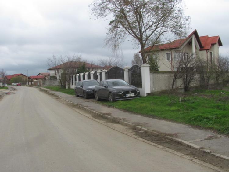 Cornetu - Crizantemelor, Stradal