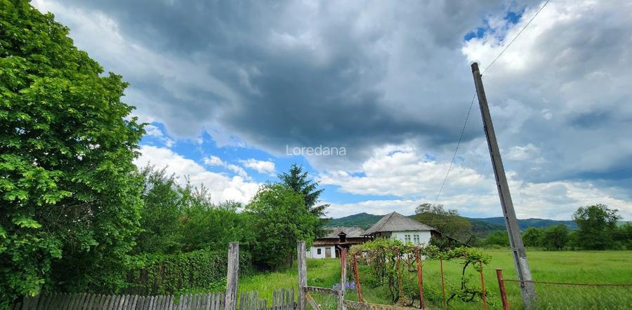 Teren 12.006 mp – Deschidere 58m, Casă bătrânească, Anexe, Gaze și Apă la poartă - 5