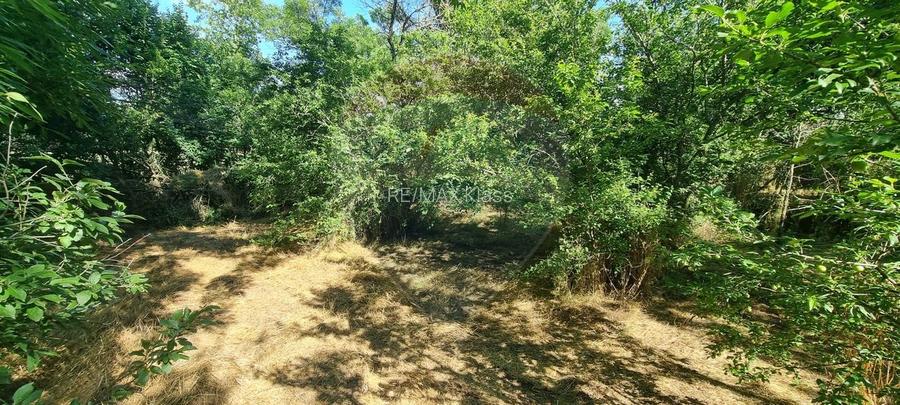 Teren intravilan si padure in Caldararu / DN Strambeni - 3