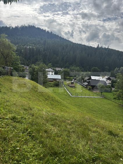 Teren intravilan de vânzare, 6500mp + o casă bătrânească, în Voroneț