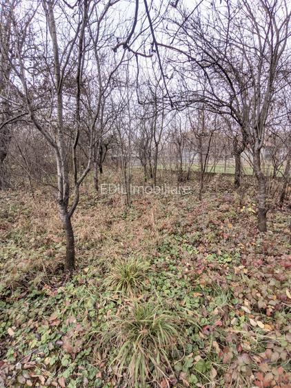 Casă de vânzare, 2 camere, 60 mp, 900 mp teren Dâmbul Rotund zona Dedeman - 9