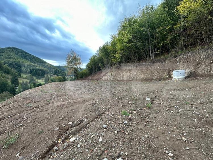 Teren intravilan 1,1 Ha, zona Bargau - 2
