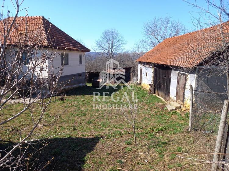 Două case de vânzare – Cerisor – teren generos 6996 mp