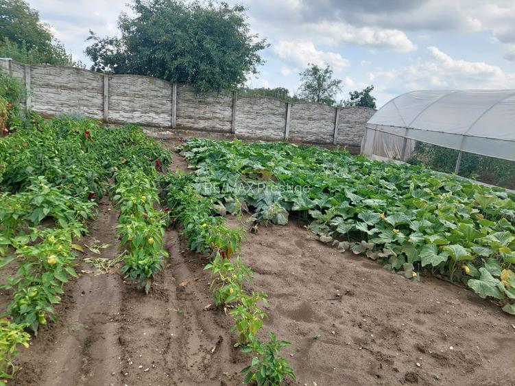 Vanzare - vilă cu 6 camere, teren 3900 mp, Vacaresti, Dambovita