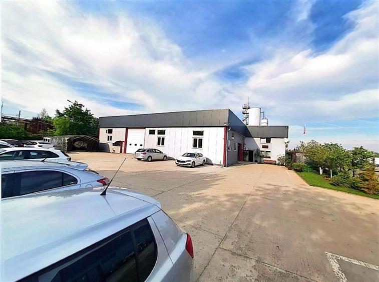 Vanzare depozit/hala/spatiu industrial cu teren 7.280mp Domnesti - Centura, ILFO