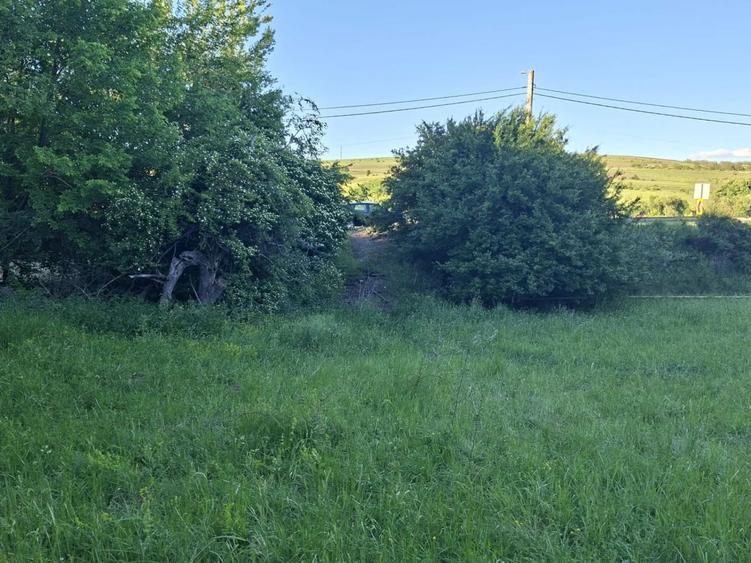 Teren de vanzare in Martinesti