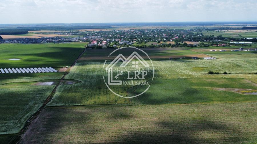 Teren Intravilan 9.918 mp Creața Dascălu, T66– Parcelabil - 9