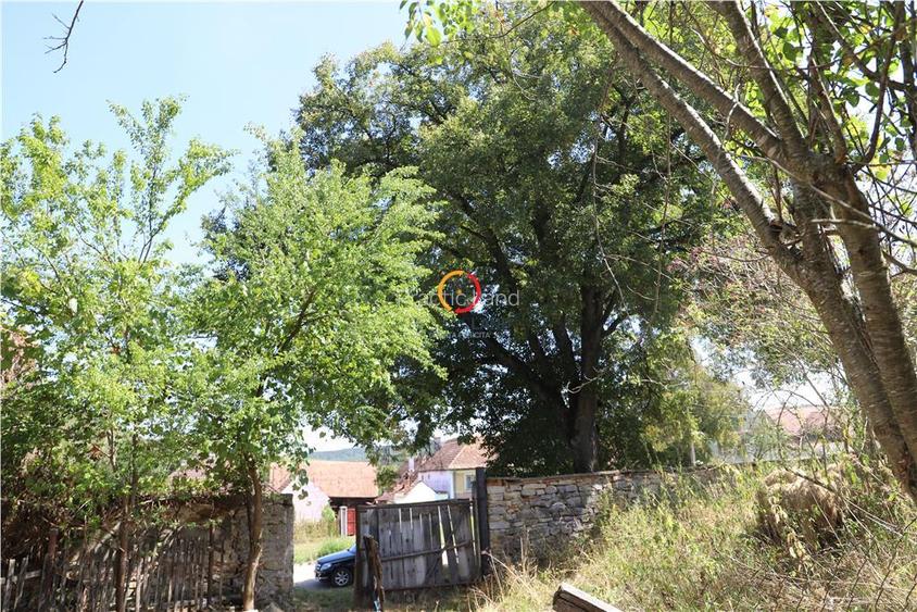 casa traditionala Bruiu Somartin judet Sibiu