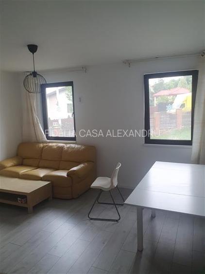 Vila  de vanzare  Copou, - 6
