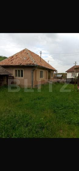 Casă cu 3 camere și un teren de 3000 mp, zona Cuzaplac