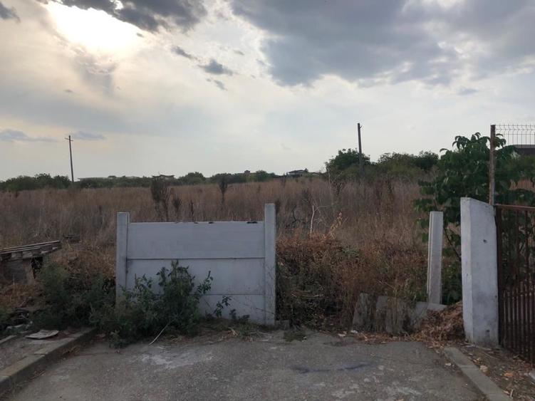 Lot teren 80000 mp Otopeni Sud Est dezvoltare sau lotizare
