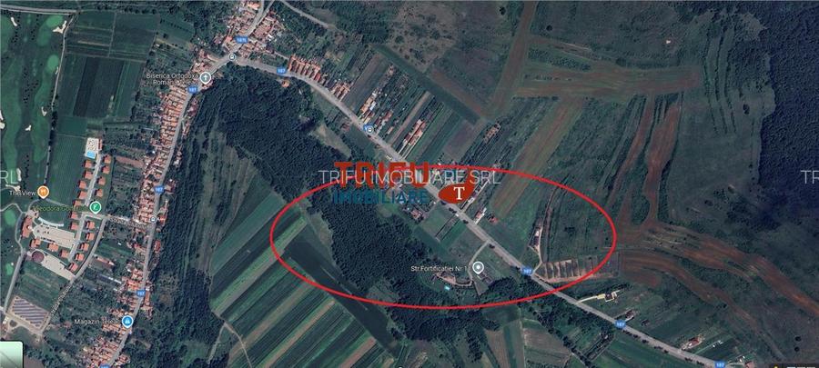 Teren intravilan 2100 mp de vanzare in Teleac la asfalt cu toate utilitatile - 4