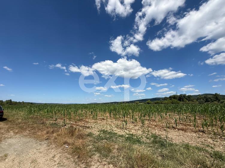 Teren 14.000 mp în Budeasa cu vedere superbă către baraj
