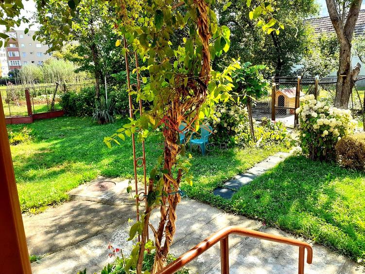 Casa 3 camere, teren 3625 mp, toate utilitatile, Sacele, Brasov