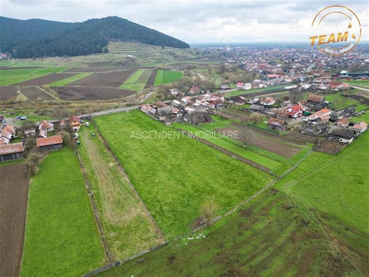 FILM!Potential rezidential/ investitional: 8.000 mp intravilan construibil, Sanz - 3