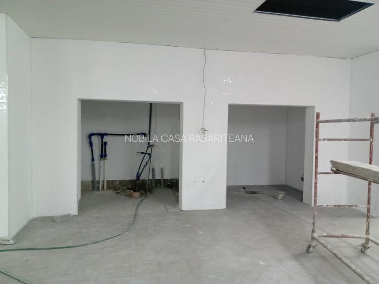 Spatiu industrila-servicii Pantelimon-Delfinului - 11