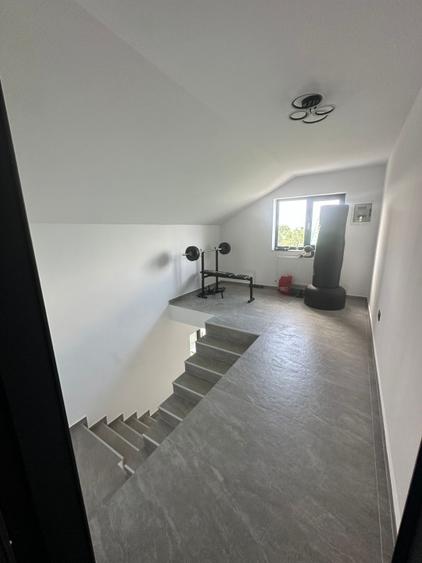 Vila Individuala/Spatiu Comercial Bragadiru -Cristalului