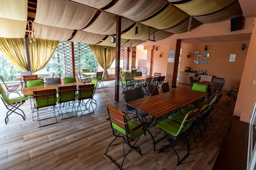 Hotel / Pensiune in Hateg, Jud Hunedoara - 48