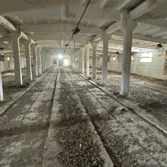 Complex industrial/Ferma de vânzare | Orțișoara, jud. Timiș - 29