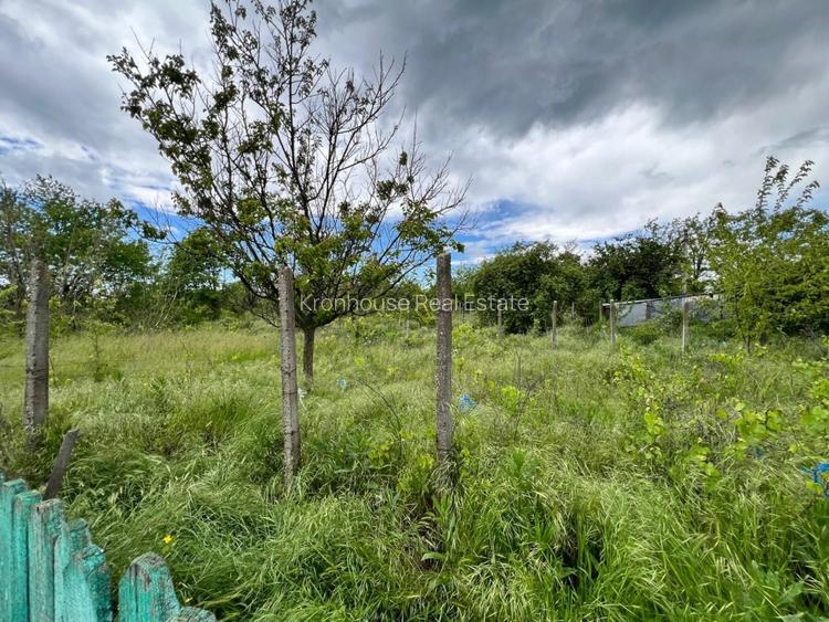 Casă + teren 4430 mp, vie și pomi fructiferi, 22 km de Tecuci - 14