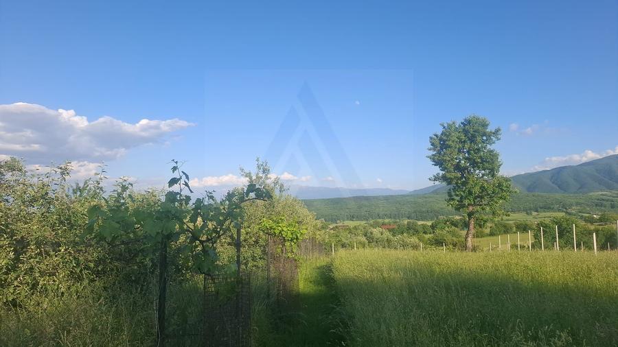 Teren intravilan 809 mp cu deschidere 14 m în Tropinii Noi