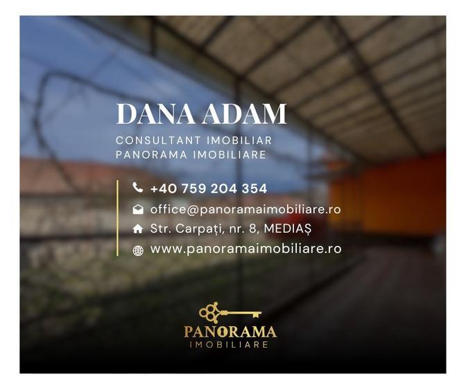 Casă de vânzare Șeica Mare. Liniște, aer curat în inima Transilvaniei