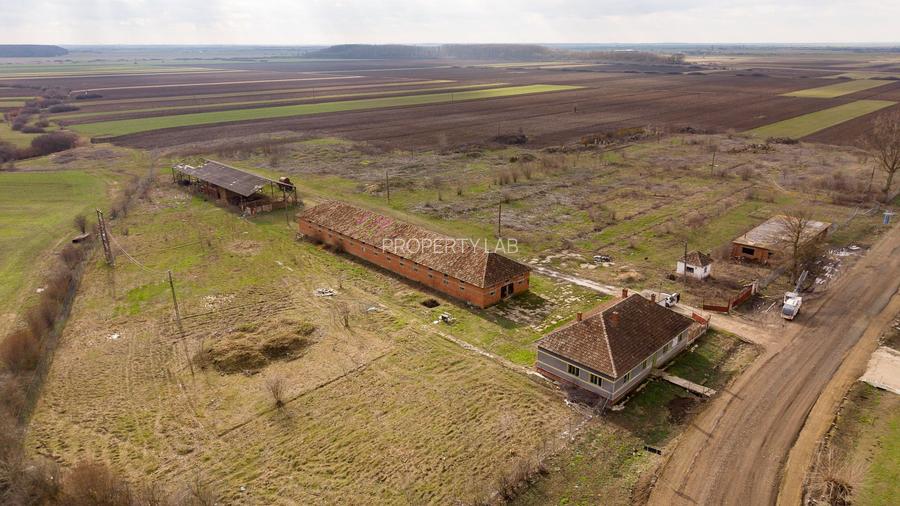 Fermă cu teren intravilan de 35000 mp în Mișca - 12