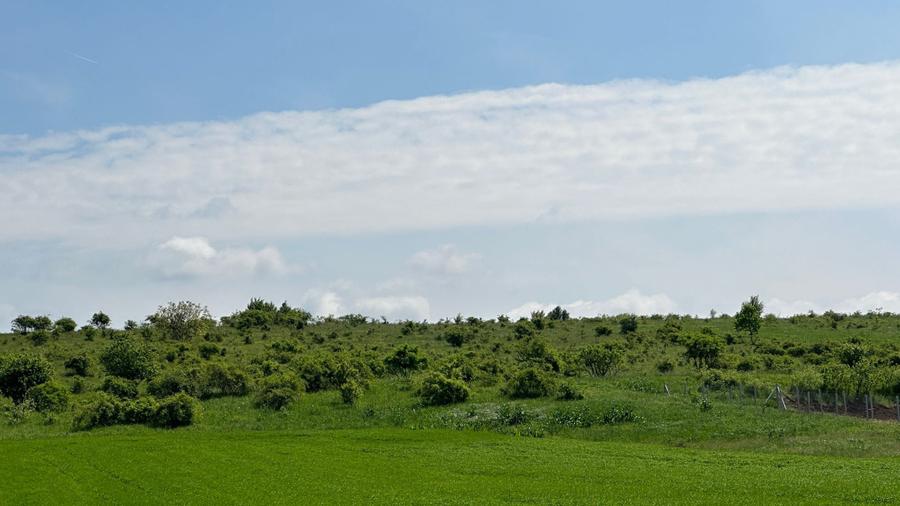 Teren Extravilan de Vanzare, zona Episcopia, Oradea, judetul Bihor
