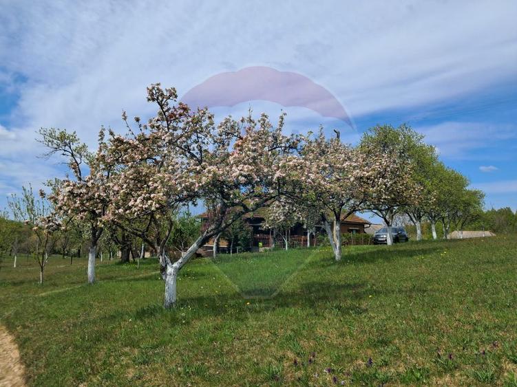 De vanzare casă cu teren 1,17ha la munte, Munteni, Bulz, spre Hiltop