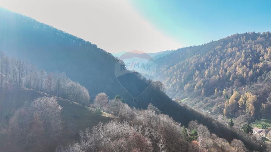 Teren Colinar Panoramic – 17.684 mp în Scheii Brașovului