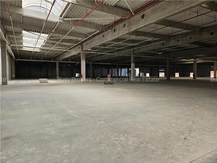 Spatiu Industrial - 9500 mp - Logistica - Productie - Depozitare - Distributie - 4
