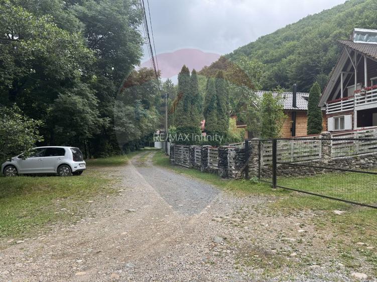 Cabana autentica de munte Frasinet - Baisoara 600 mp teren - 30