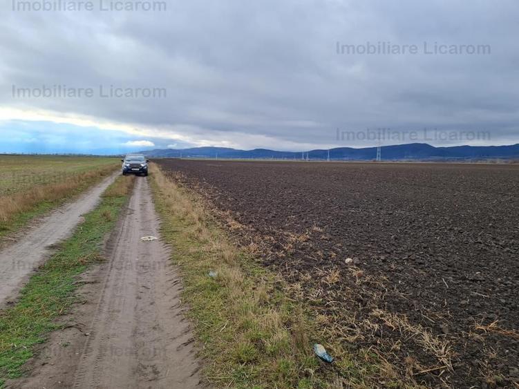 Teren extravilan 2,9 HA,intre Cristian si Vulcan