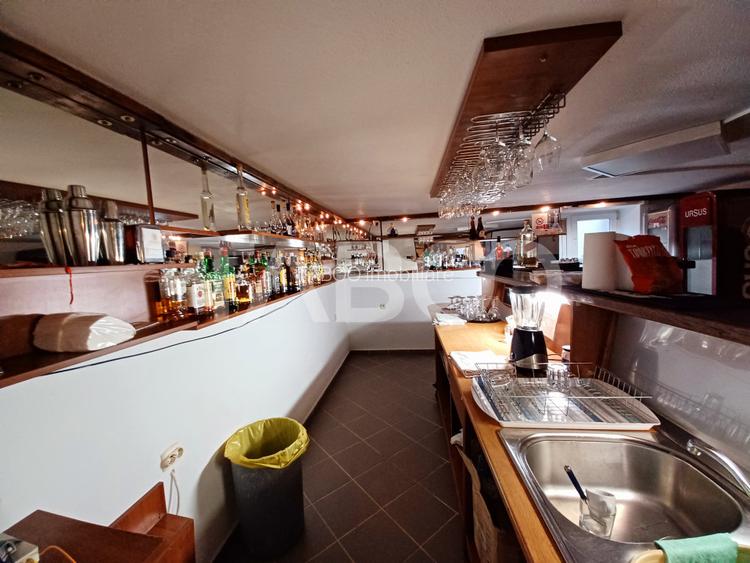 Spatiu comercial in Calea Dumbravii curte si terasa - pretabil Horeca - 4