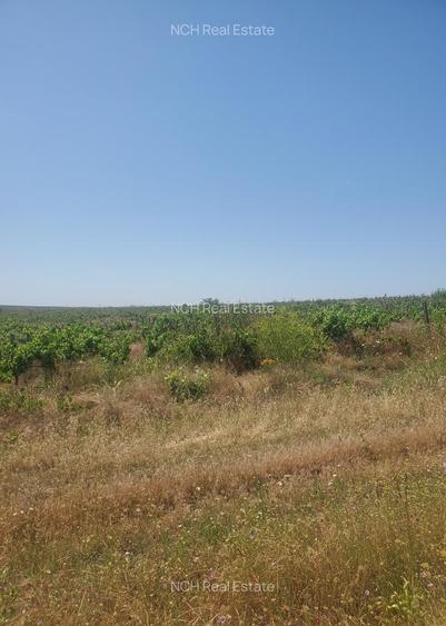 130 Ha comasat 100%, judetul Constanța