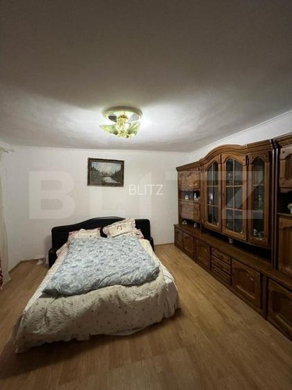 2 CASE, 300mp/700mp, teren 30 ari, zona strada Botizului - 2