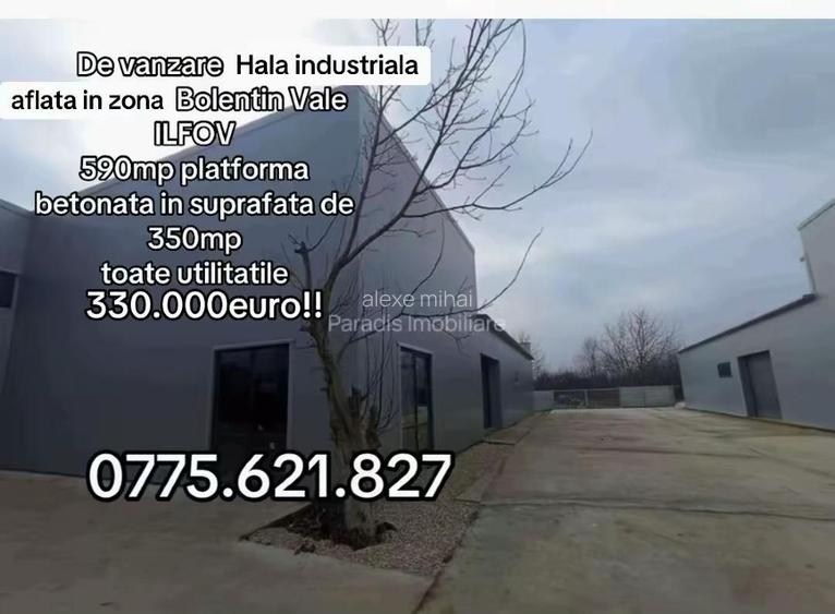 Închiriez, vand hale industriale si spatii comerciale Bolintin Vale - 8