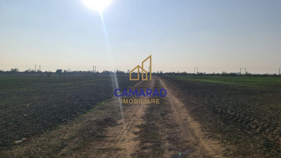 Teren intravilan de vânzare - zona industriala Domnești/A1