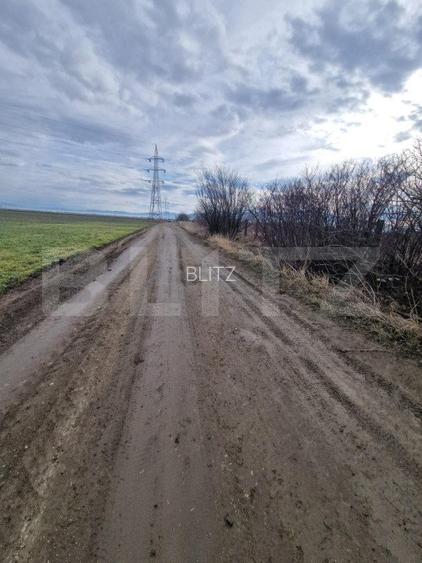 Teren de vanzare 1500 mp - intravilan Codlea - 30 euro mp - 5